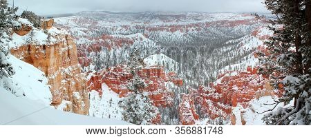 Wonderful Panoramic View Of Bryce Canyon In Winter