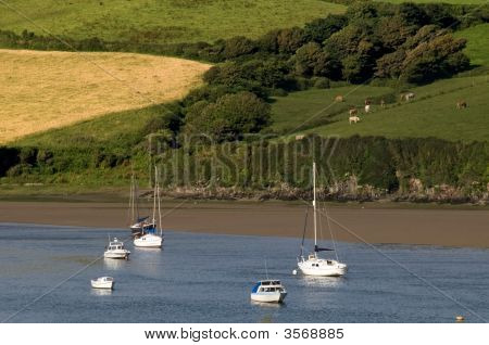 Estuario