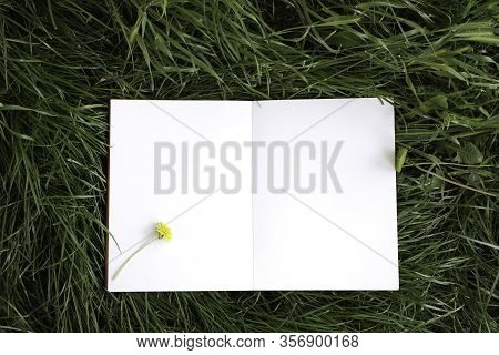 Notebook With White Sheets. An Open Notebook With White Sheets Lies On The Grass. Mockup Background.