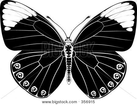 Butterfly Fantasy černý