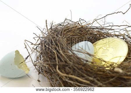 A Concept Based On Longterm Investments Of The Cryptocurrency Bitcoin Utilizing A Birds Nest And Gol