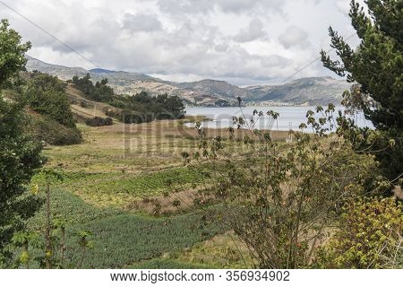 Aquitania, Boyaca / Colombia; April 8, 2018: Rural Andean Landscape, Cultivation Fields, Mainly Wels