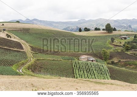 Aquitania, Boyaca / Colombia; April 8, 2018: Andean Landscape, Rural Houses And Welsh Onion Fields, 