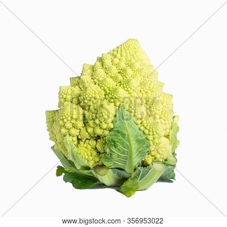 Single White Ornamental Cauliflower On White Background With Clipping Path, Copy Space