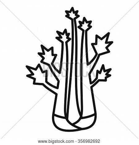 Veggies Celery Icon. Outline Veggies Celery Vector Icon For Web Design Isolated On White Background