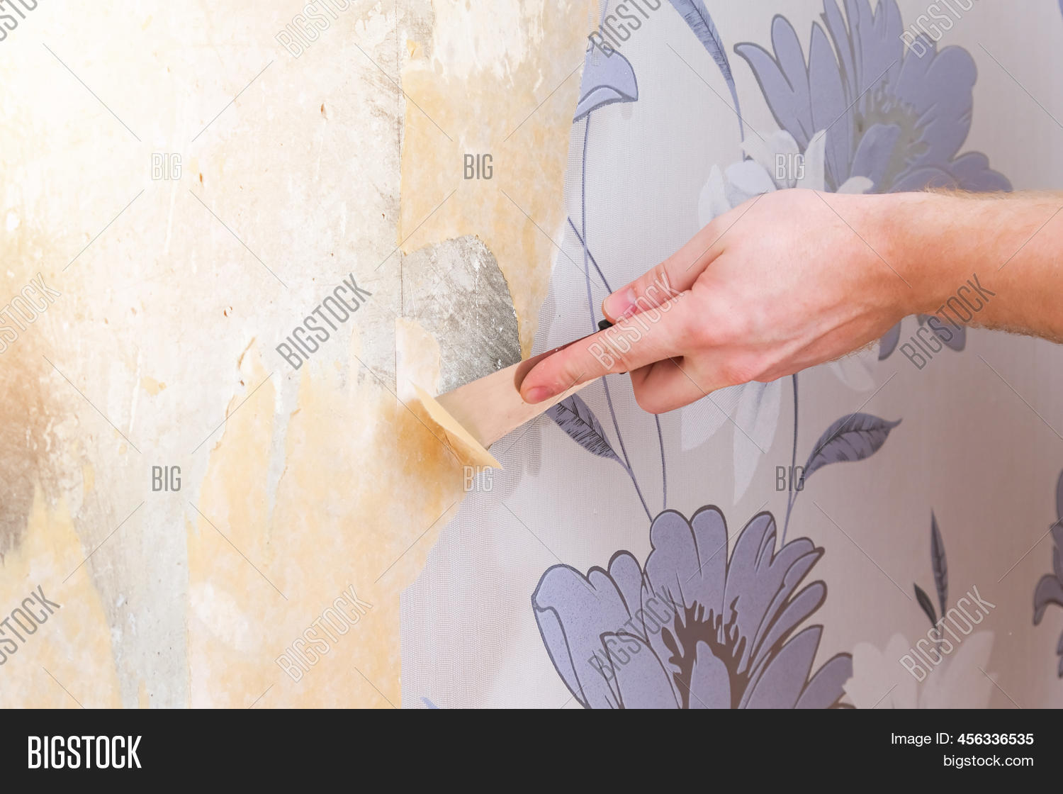 Removing Old Wallpaper Image & Photo (Free Trial) Bigstock
