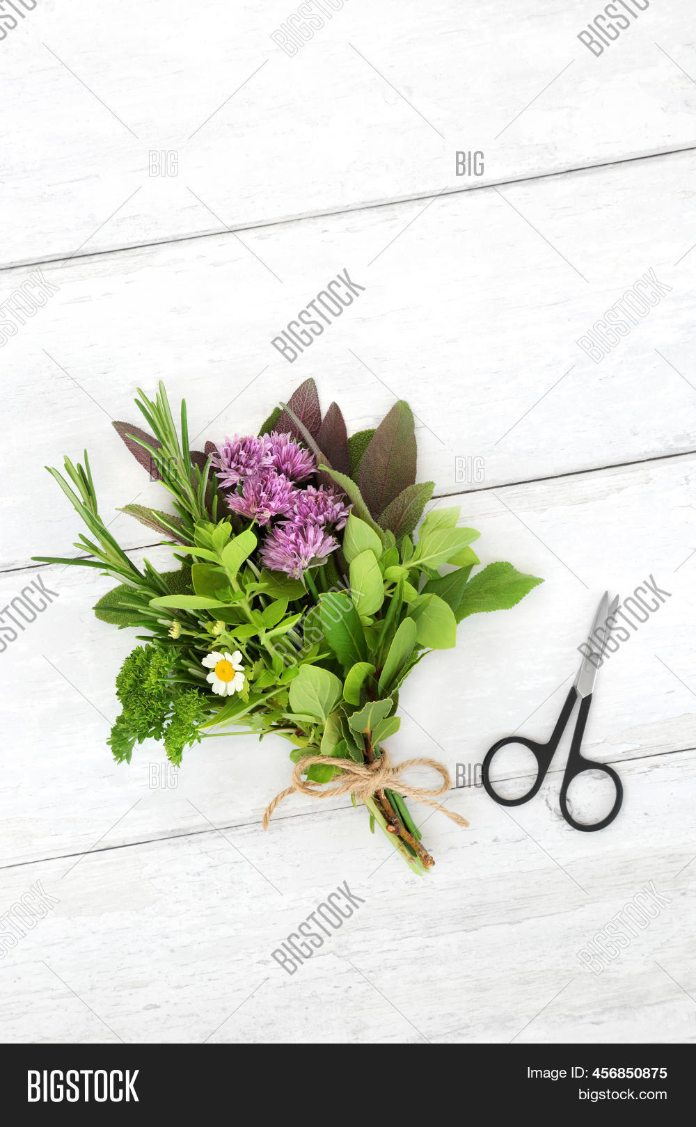 Herbs Tied Bunch Food Image & Photo (Free Trial) Bigstock