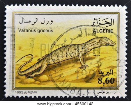Un timbre imprimé en Algérie montre varanus griseus