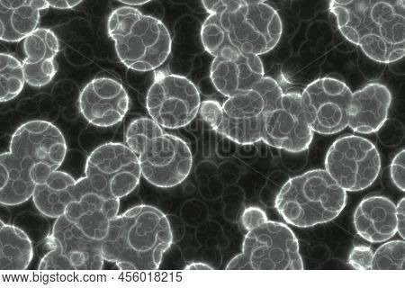 Design Nice A Lot Of Biological Unicellulars Computer Graphic Background Illustration