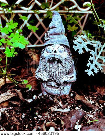 Funny Surprised Zombie Gnome Decoration Framed By Silvery White Dustry Browns And Emerald Green Clov