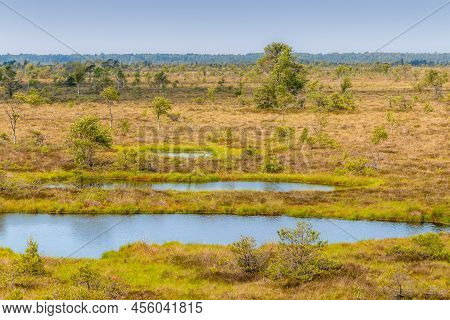 View To Swamp During Hot Summer Day Trail To Aukstumala