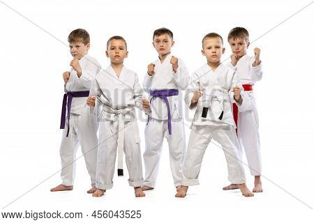 Portrait Of 6 Preschool Age Boys, Beginner Karate Fighters In White Doboks Standing Together Isolate
