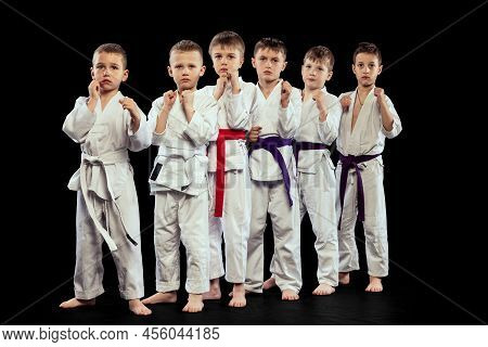 Group Portrait Of Preschool Age Boys, Beginner Karate Fighters In White Doboks Posing Like Team Isol
