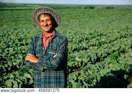 Front View. Thai Asian Farmer Plaid Shirt With Folded Hands. Old Farmer Is In Good Spirits At This Y