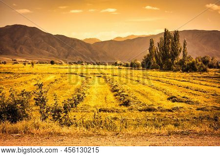 Almaty, Kazakhs Tan - June 16 2017 :a Soviet Style Kolkhoz, Collective Farm Against The Backdrop Of 