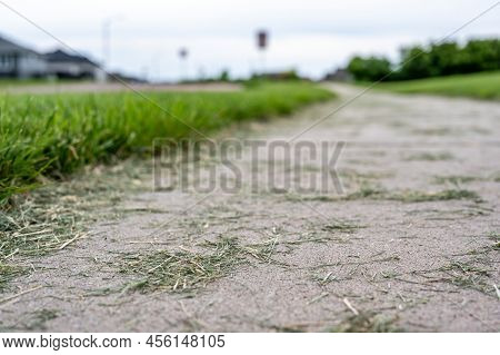 Grass Clippings Strewn Across A Residential Sidewalk After Mowing.