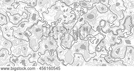 Topographic Map Background. Geographic Abstract Patterns Grid. The Topo Contour Map With Stylized He