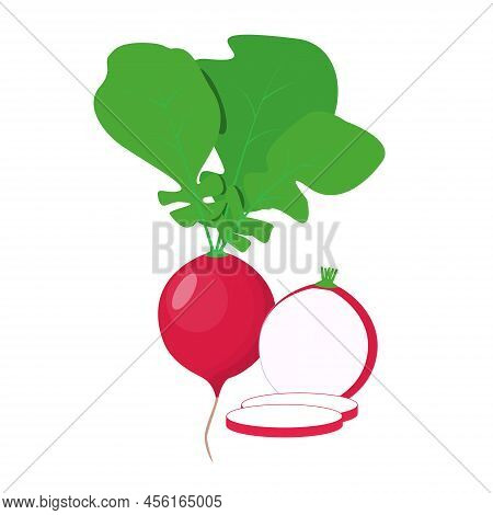 Cartoon Red Radish Half And Slices On A White Background. For Books, Magazines, Banners And Websites