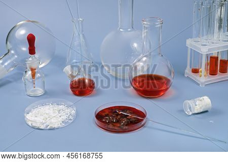 Abstract Laboratory For Making Research In New Food Innovation Or Pharmaceuticals . Laboratory Grown