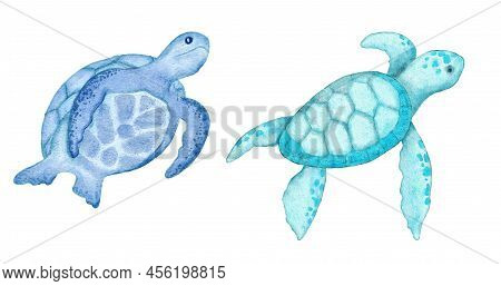 Watercolor Illustration Of Turtle Tortoise In Blue Turquoise Purple Colors, Ocean Sea Underwater Wil