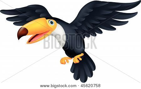 Toucan fugl tegneserie flyver