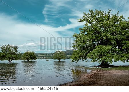 Flooded Trees In A Lake Offering A Wonderful Landscape In Morvan