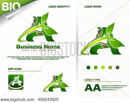 Initial Letter A With Green Leaf Logo Design Vector