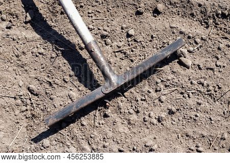 Photo Of A Garden Rake On A Bed. Old Metal Rake In The Garden. Spring Cleaning. Formation Of The Soi