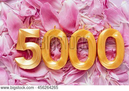 5000 Followers Card. Template For Social Networks, Blogs. Background With Pink Flower Petals. Social