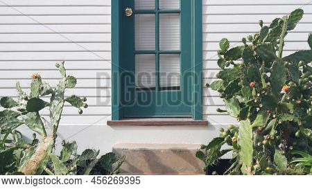 Green Desert Cactus By White Wall Of Wooden House Or Bungalow. Garden In Mexican Or Wild West Style,