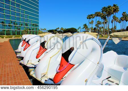 June 12, 2022 In Long Beach, Ca:  Swan Style Paddleboats Docked On A Lake At The Hyatt Regency Hotel