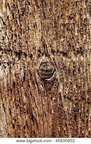 Texture en bois ancienne