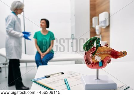 Gastroenterology Consultation. Anatomical Model Of Pancreas On Doctor Table Over Background Gastroen