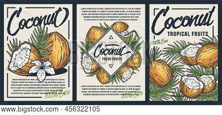 Coconut Poster. Summer Exoic Fruit And Nuts With Palm Leaves Design