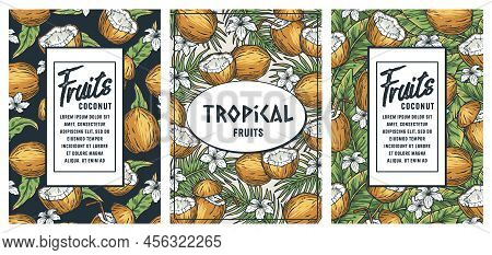 Coconut Poster. Summer Exoic Fruit And Nuts With Palm Leaves Design
