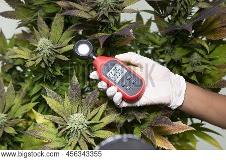 Medical Professional Uses A Thermometer And A Hygrometer To Show The Temperature And Humidity Next T