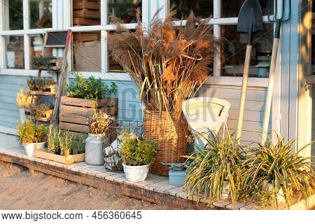 Facade Blue House Rustic Style. Green Plants, Dried Spikelets, Flowers And Pampas Grass In Backyard 