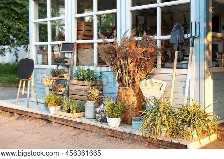 Cozy Decor Veranda At House. Facade Blue House Rustic Style. Green Plants, Dried Spikelets, Flowers 