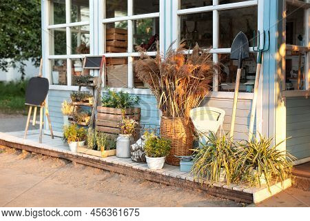 Facade Blue House Rustic Style. Green Plants, Dried Spikelets, Flowers And Pampas Grass In Backyard 