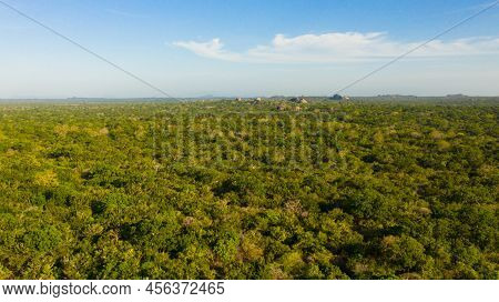 Tropical Landscape: Rocks Among Green Jungle And Tropical Trees In Kumana National Park. Sri Lanka.