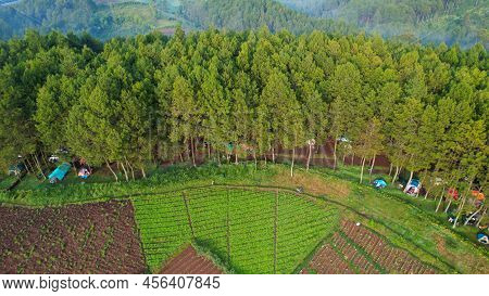 Aerial View Of The Atmosphere Around The Tent Site Of The Datar Pinus Park. Lots Of Traveller Are Ca