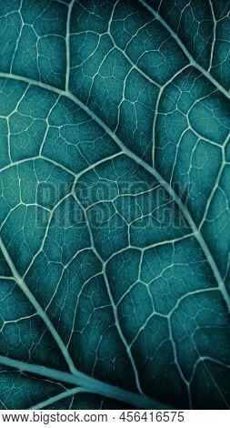 Plant Leaf Closeup. Mosaic Pattern Of  Cells And Veins. Blue-green Dark Mobile Phone Wallpaper. Abst