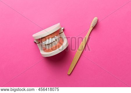 Closeup Model Of A Human Jaw With White Teeth And Toothbrush. Dentistry Conceptual Photo. Prosthetic