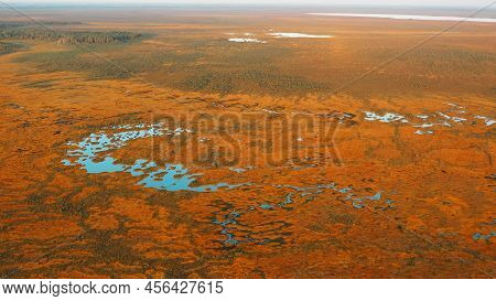 Miory District, Vitebsk Region, Belarus. The Yelnya Swamp. Upland And Transitional Bogs With Numerou