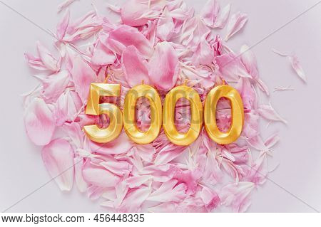 5000 Followers Card. Template For Social Networks, Blogs. Background With Pink Flower Petals. Social