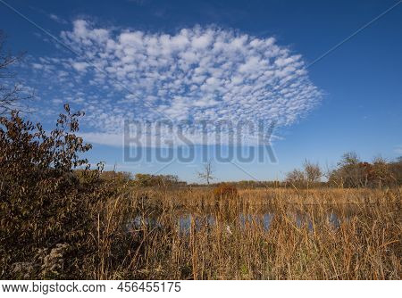 Altocumulus Clouds Over A Wetland Pond In The Crabtree Nature Preserve In Illinois
