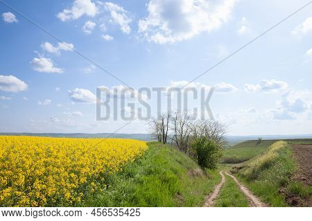 Panorama Of Titelski Breg, Or Titel Hill, In Vojvodina, Serbia, With A Dirtpath Countryside Road In 