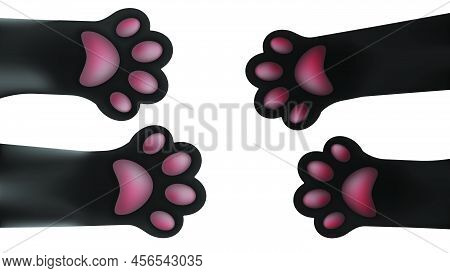 Cat Paws Reach Out To Meet Each Other. Domestic Cats. Vector Illustration Isolated On White Backgrou