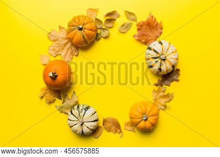 Autumn Composition Pumpkins With Fall Leaves Over Coloredbackground. Top View With Copy Space.