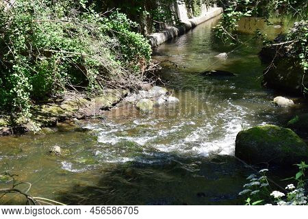 Wild River Nette In The Eifel During Summer